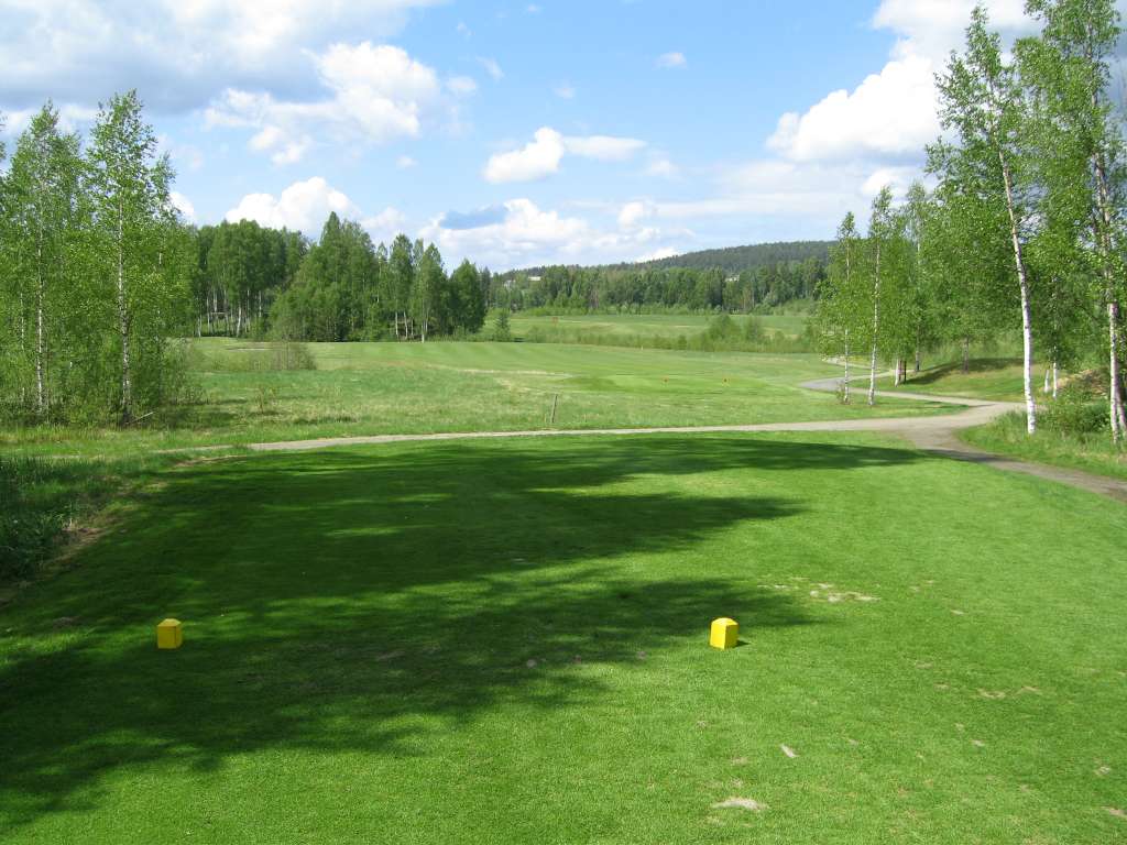 Tee
